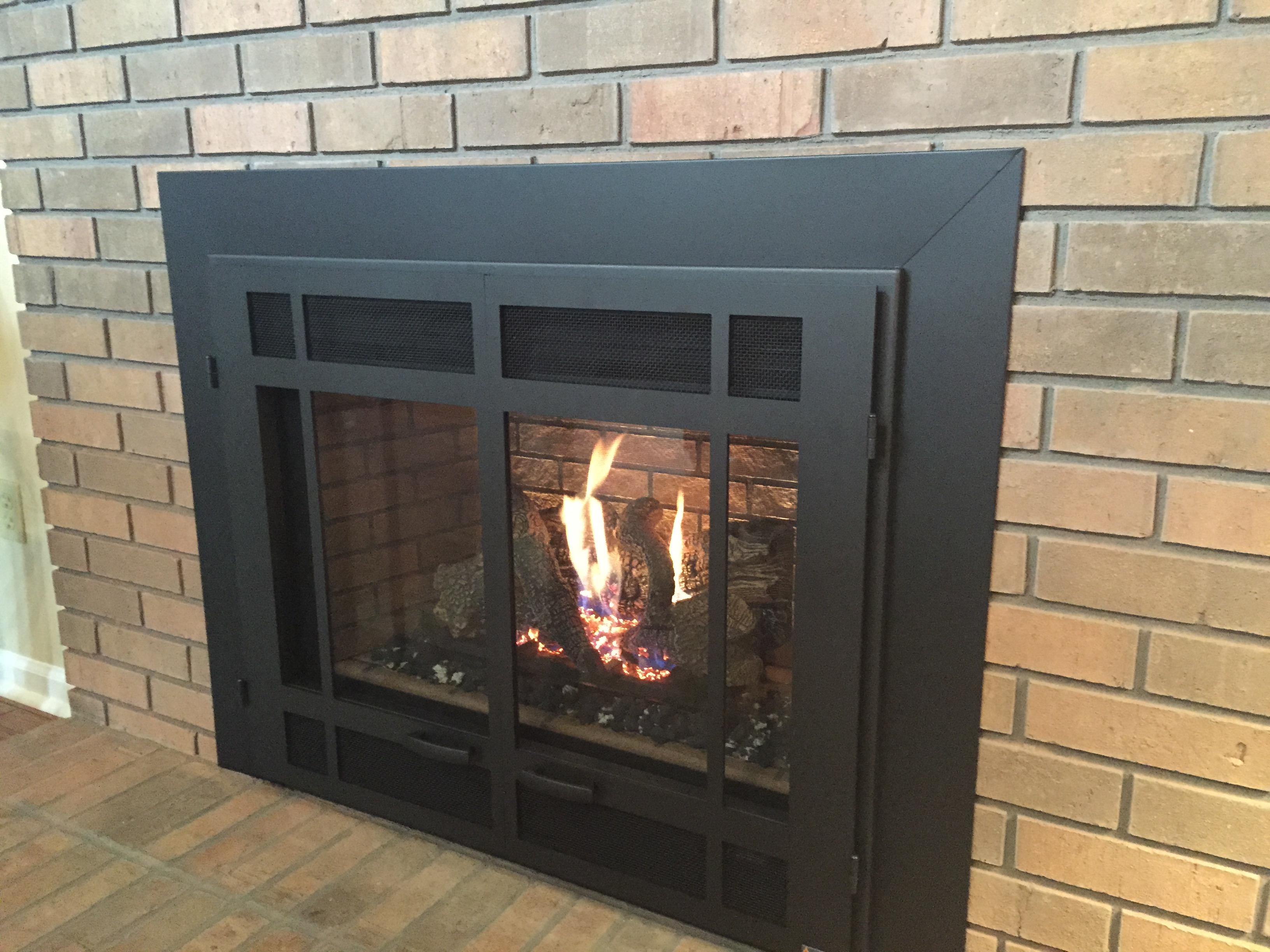 houzz fireplace doors